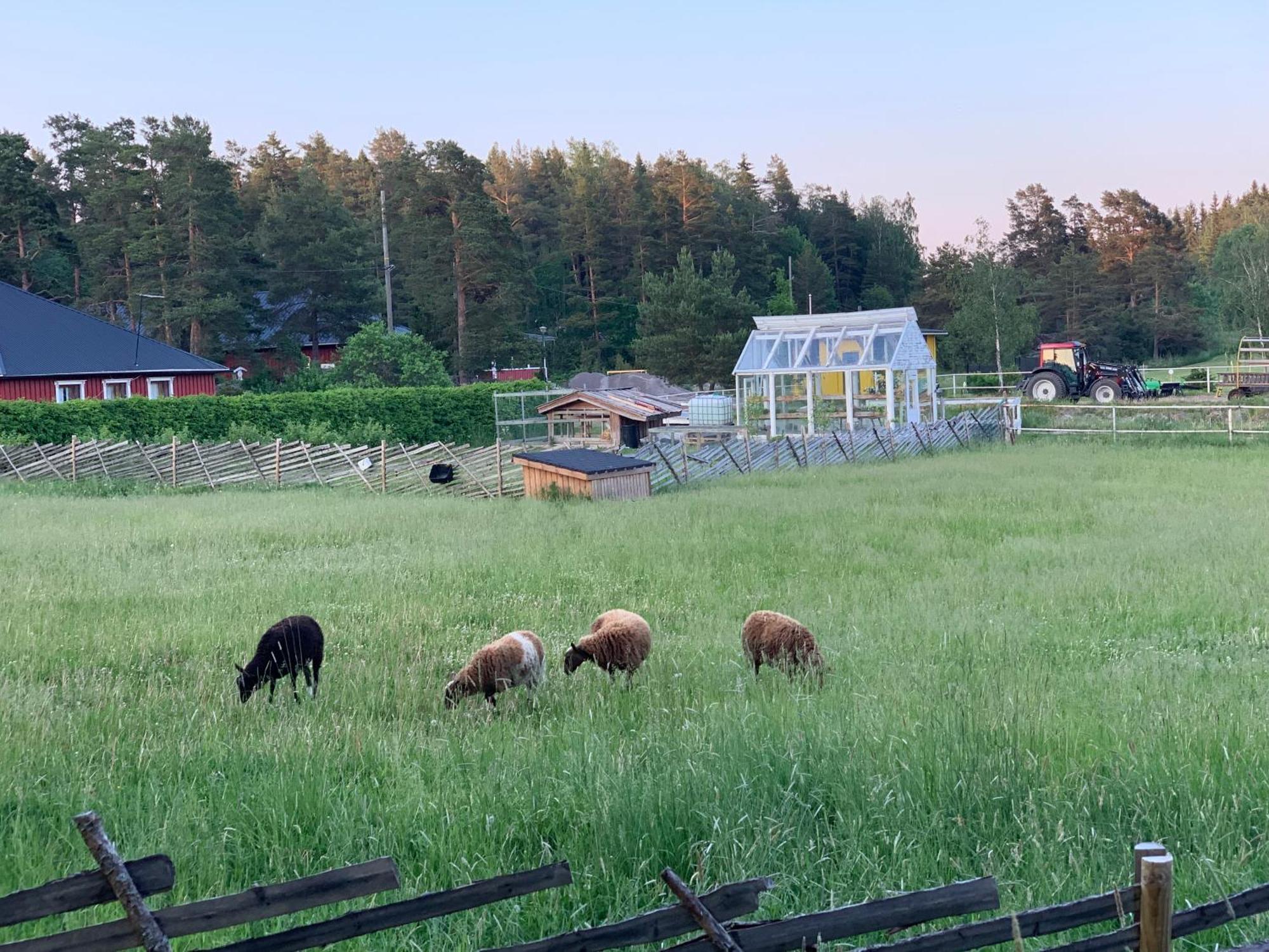 Lomahyppaeys Villa Naantali Bagian luar foto