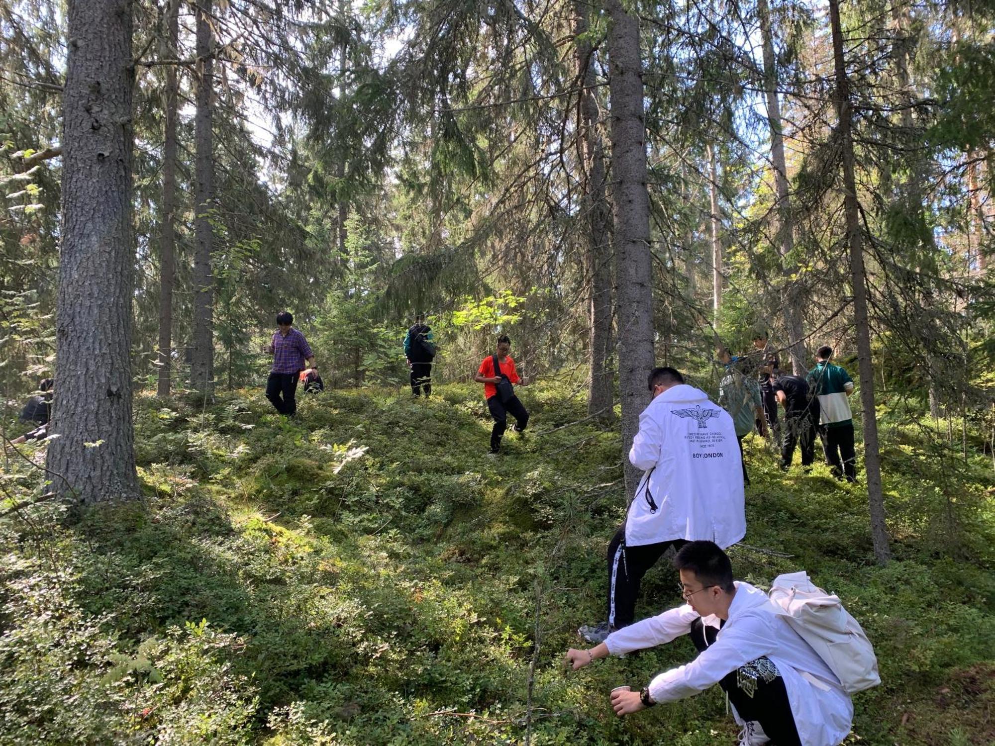 Lomahyppaeys Villa Naantali Bagian luar foto